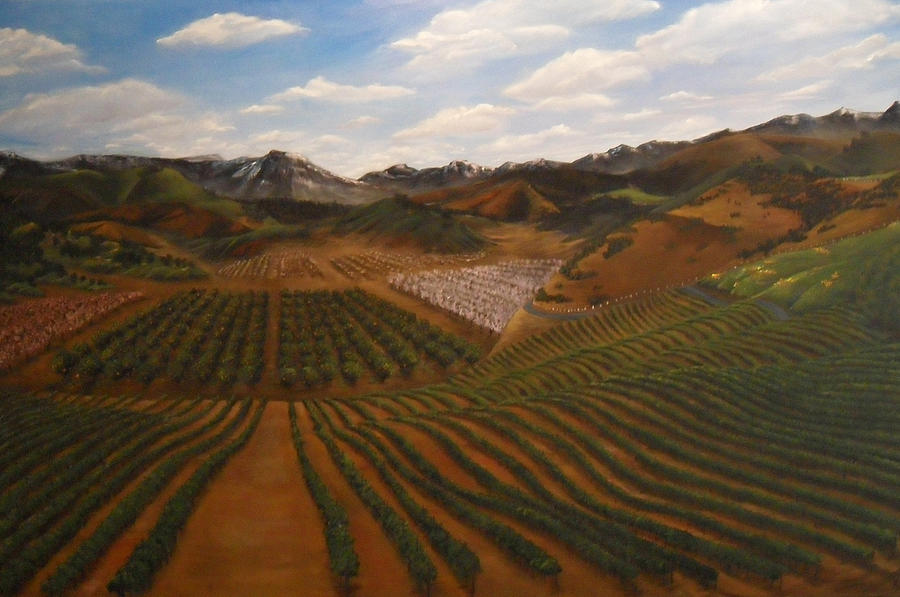 Vineyard Painting by Travis Day