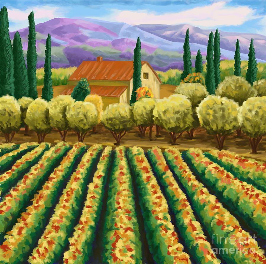 Vineyard With Olives Tuscany Painting by Tim Gilliland