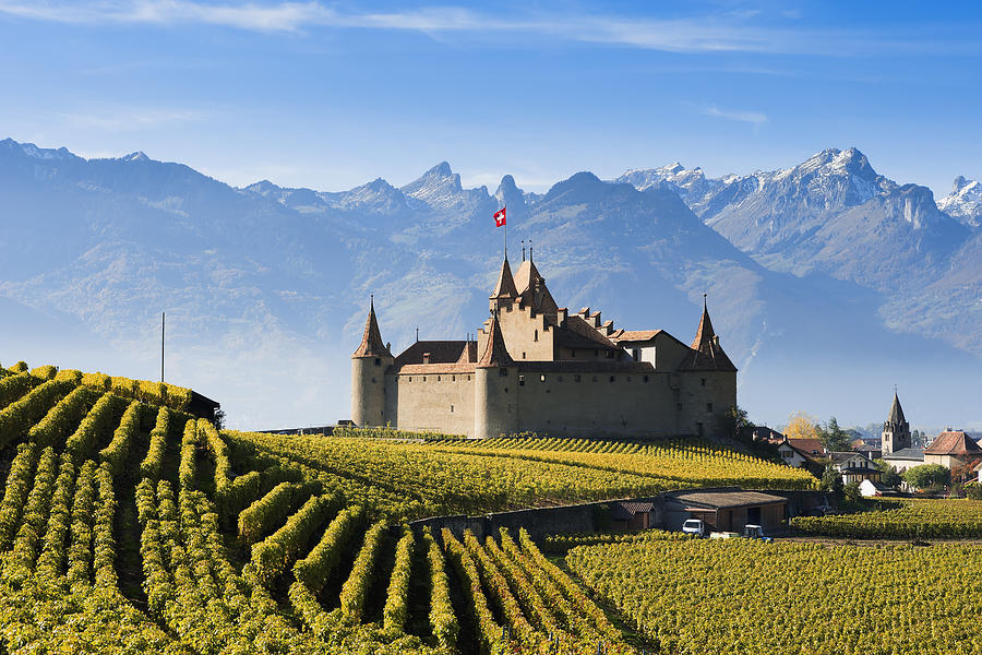 Vineyards And Castle Aigle, Switzerland Photograph by Yves Marcoux