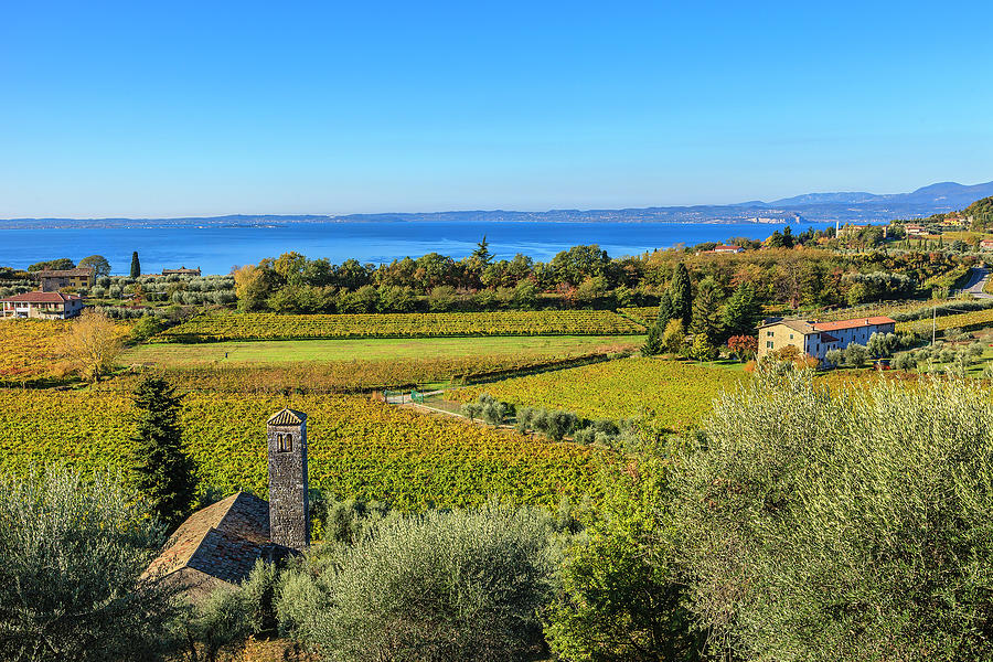 Vineyards In Autumn, Lake Garda, Italy Photograph by Flavio Vallenari