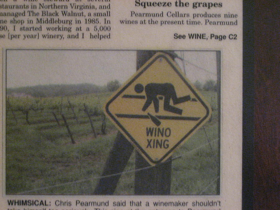 Wine Photograph - Vineyards in VA - 121238 by DC Photographer