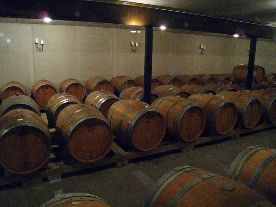 Wine Photograph - Vineyards in VA - 121270 by DC Photographer