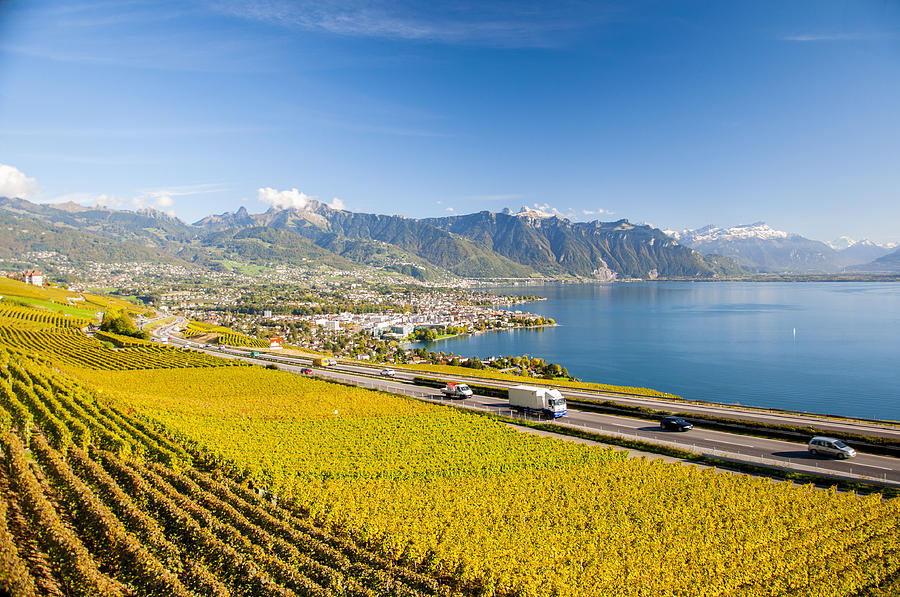 Vineyards near Montreux Photograph by Rob Hemphill