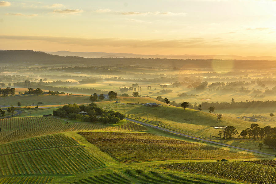 Vineyard Photograph - Vineyards of Hunter Valley by Andrei SKY