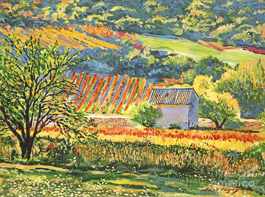 Vineyards of Provence Painting by David Lloyd Glover