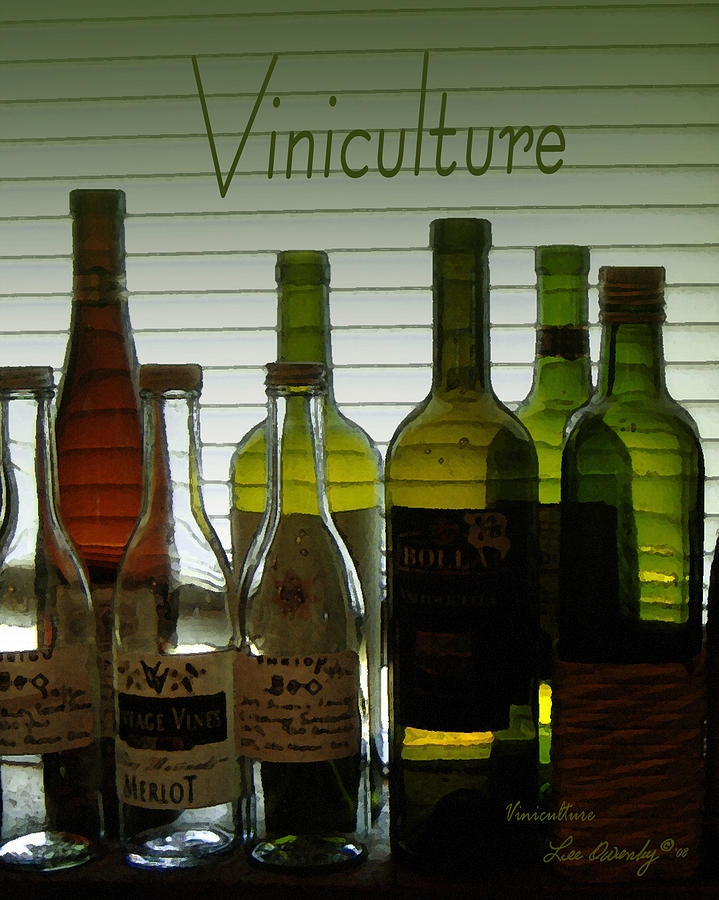 Viniculture  Photograph by Lee Owenby