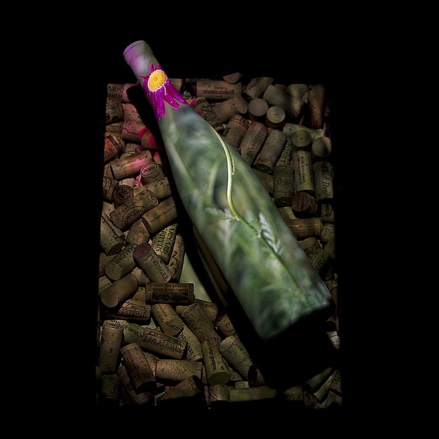 Vino Nouveau with Length Photograph by Doug Davidson
