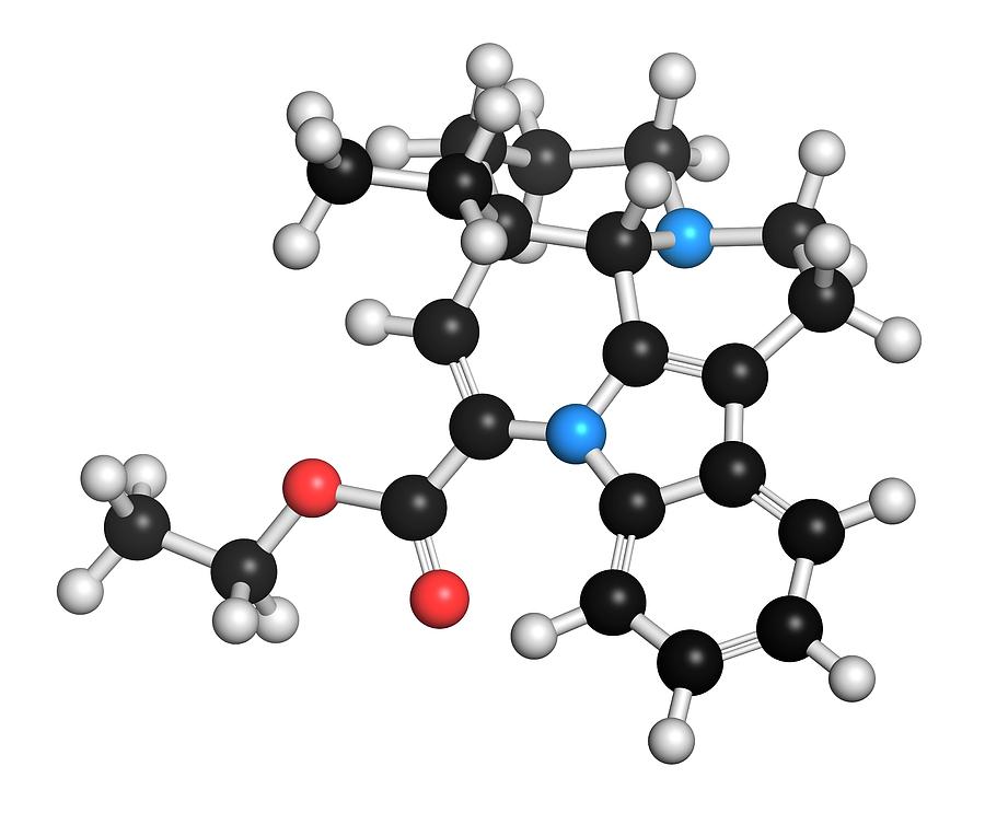 Vinpocetine Molecule Photograph by Molekuul