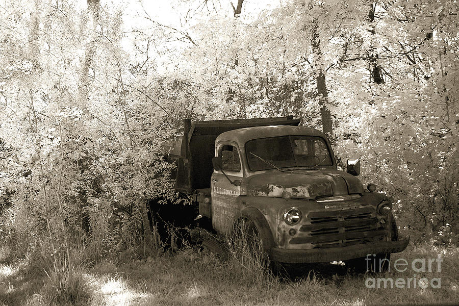 Vintage American Dodge Truck - Abandoned Vintage American Truck Sepia Print Photograph by Kathy Fornal