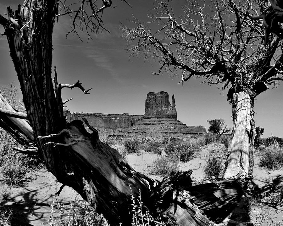 Nature Photograph - Vintage American West by Benjamin Yeager