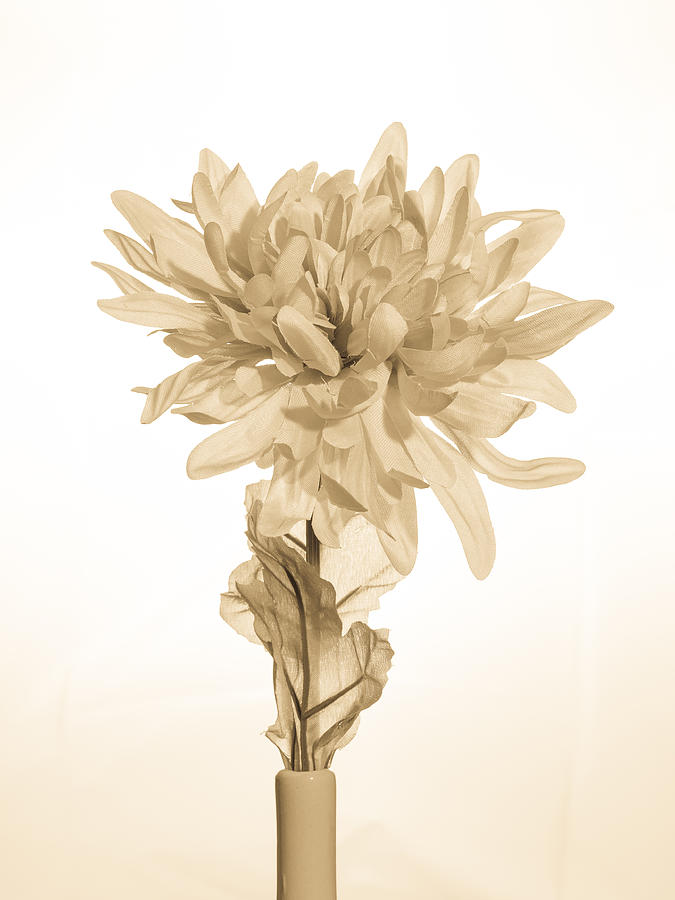 Vintage Artificial Flower Photograph by Mark Llewellyn