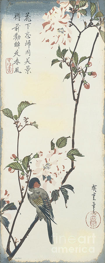 Vintage Asian Blossoms-A Digital Art by Jean Plout - Fine Art America