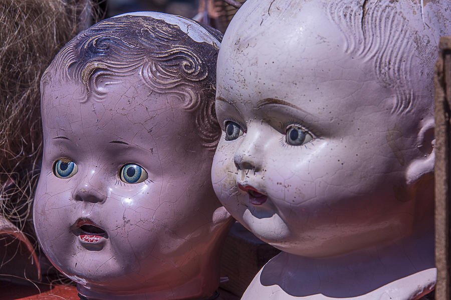 Doll Photograph - Vintage Baby Doll Heads by Garry Gay