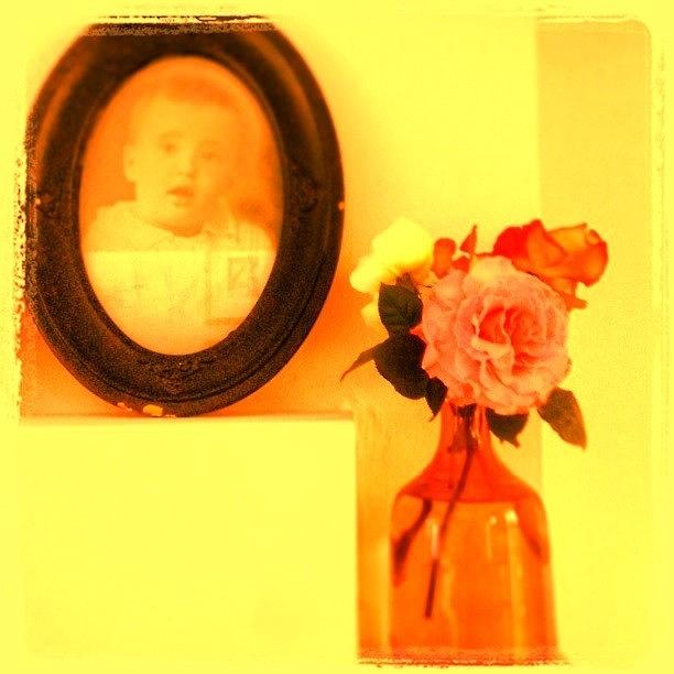 Vintage Baby Portrait And Rose Vase Photograph by Lynn Friedman