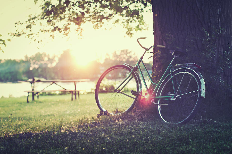 Vintage Bicycle At Sunset Photograph by Linda Raymond
