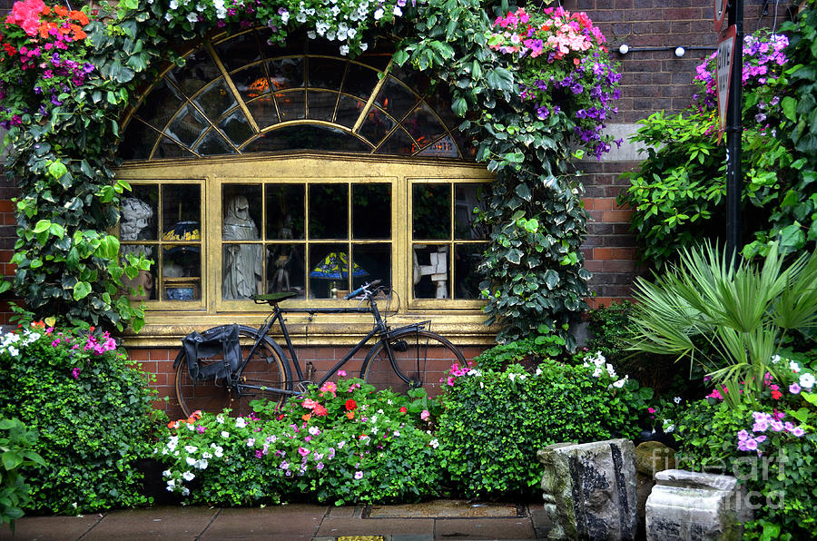 Vintage bicycle at the window Photograph by RicardMN Photography