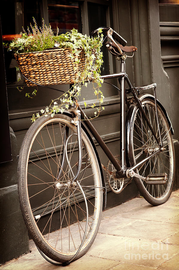 Vintage Photograph - Vintage bicycle by Jane Rix