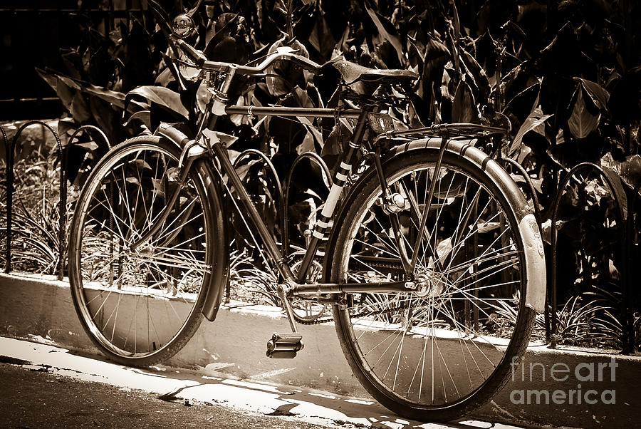 Vintage Bicycle from the 1940s Photograph by Carlos Alkmin