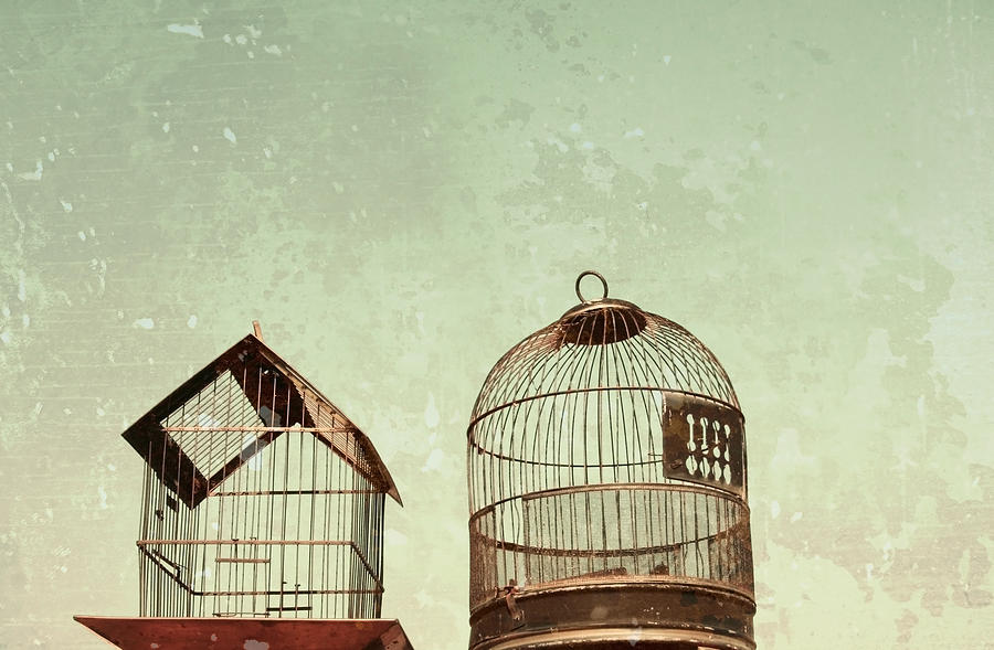 Vintage Bird Cages Photograph by Brooke T Ryan