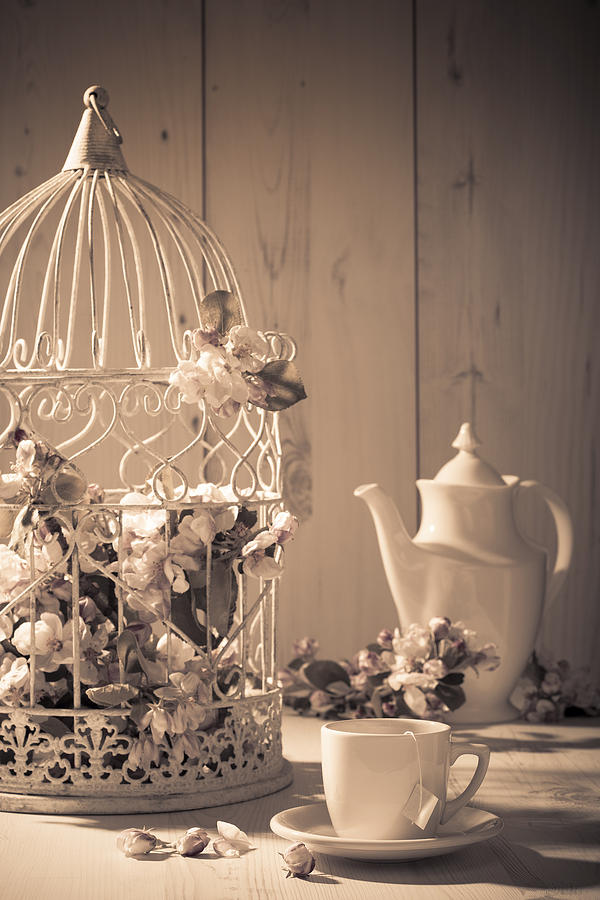 Tea Photograph - Vintage Birdcage by Amanda Elwell
