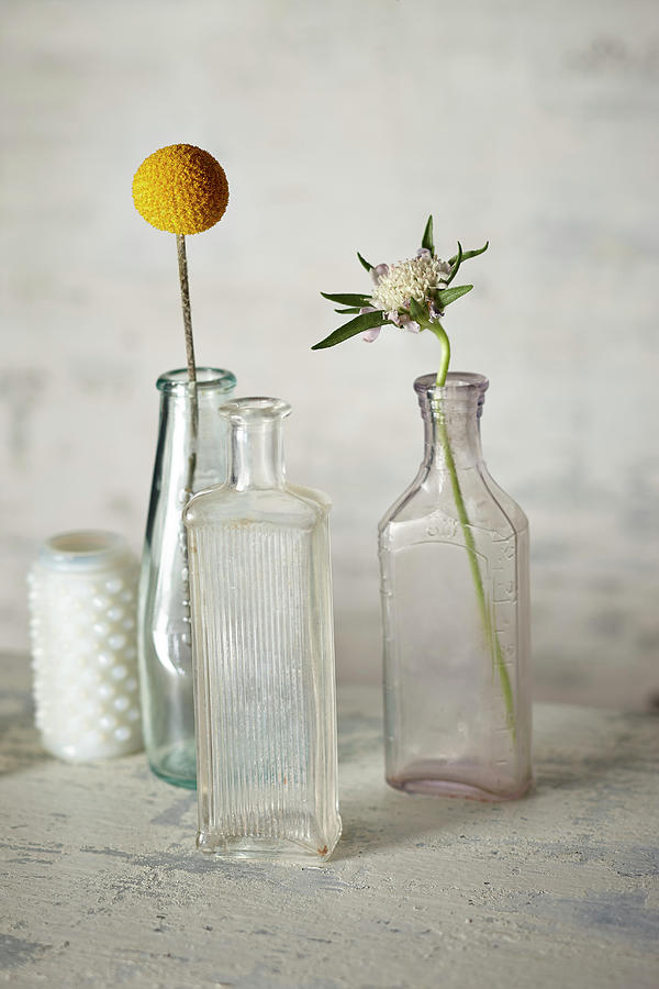 Vintage Bottles And Flowers Photograph by Lew Robertson