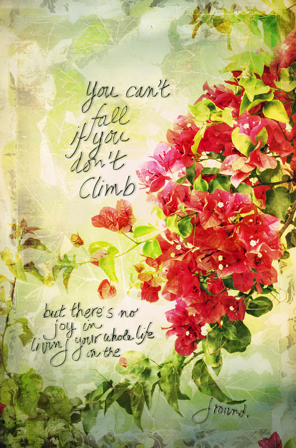 Vintage Bougainvillea with inspirational quote Photograph by Marianne Campolongo