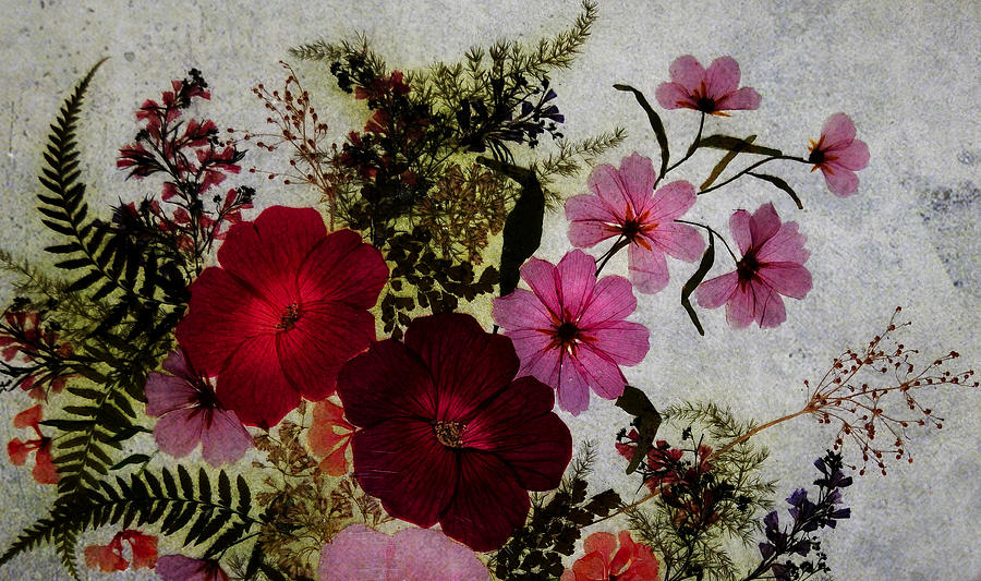 Vintage Bouquet 1 Photograph by Jenny Rainbow