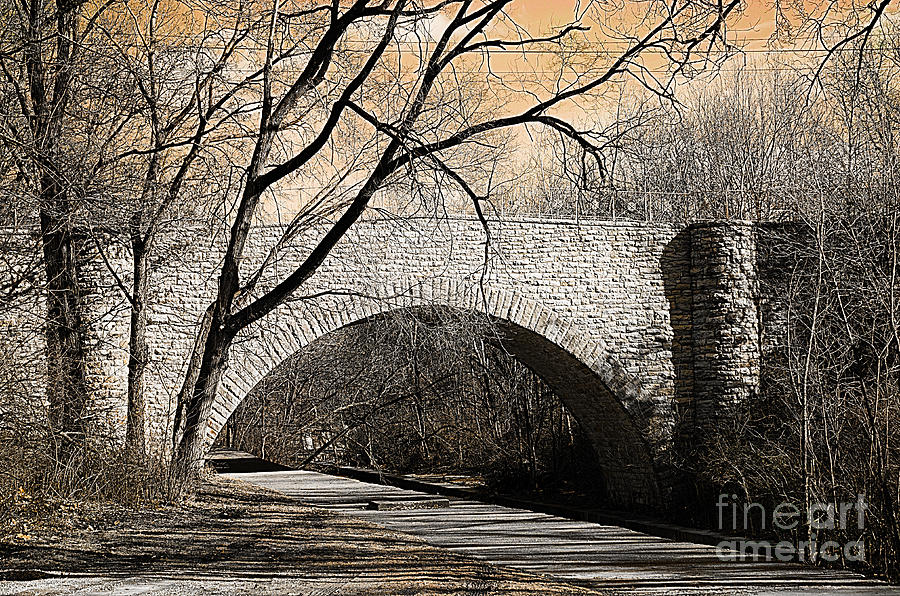 Vintage Bridge in South Park Photograph by Luther Fine Art