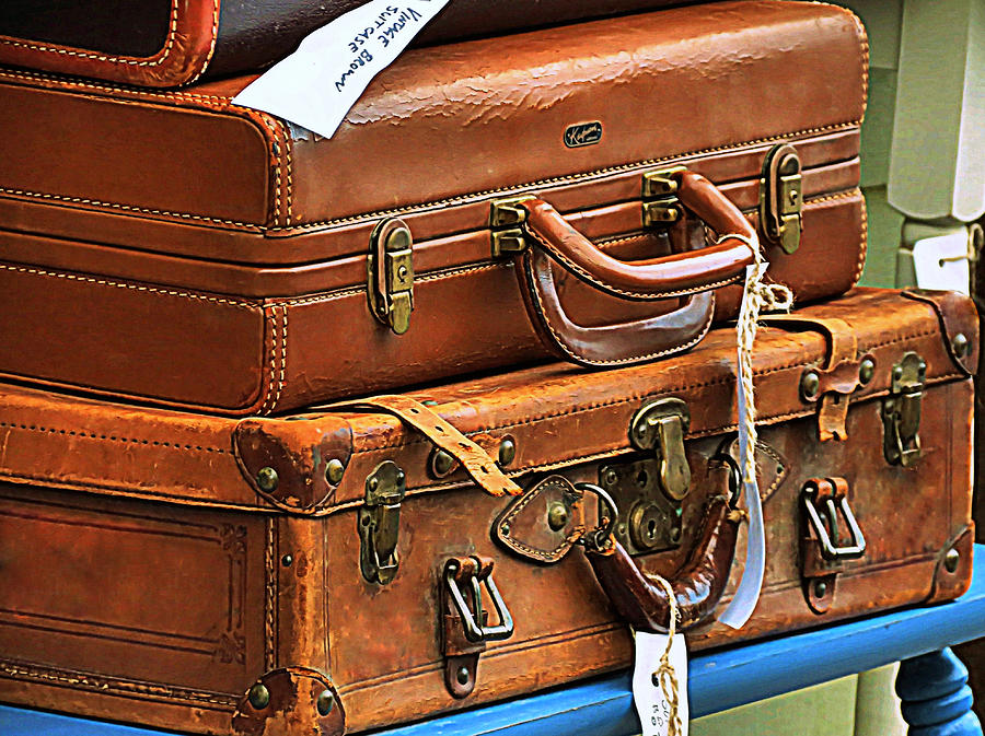 Vintage Brown Luggage Photograph by Janice Drew