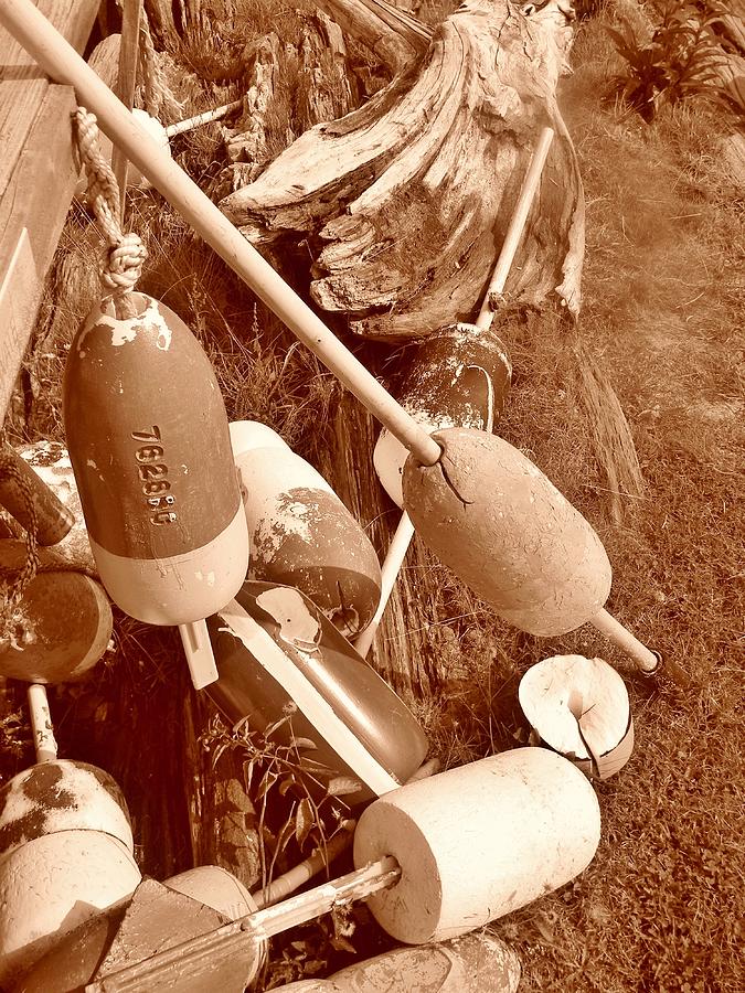 Vintage Buoys Photograph by Jean Goodwin Brooks