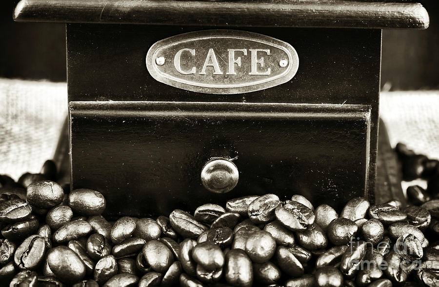 Vintage Cafe Beans Photograph by John Rizzuto