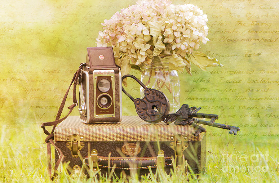 Vintage Camera And Case Photograph