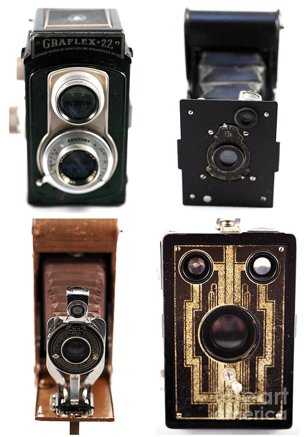 Vintage Cameras Collage Photograph by John Rizzuto