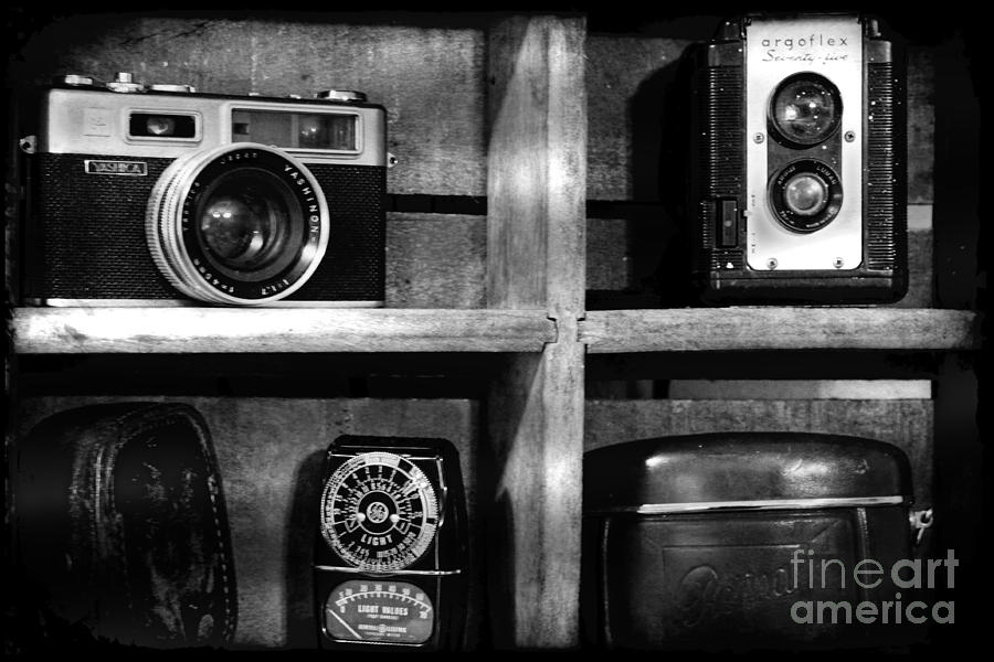 Vintage Cameras Photograph by Deborah Adkins - Fine Art America