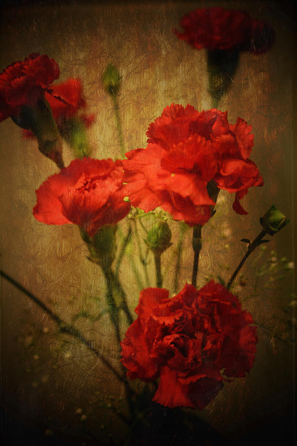 Vintage Carnations Photograph by Susan McMenamin