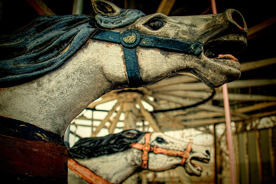 Blue Vintage Carousel Horses 001 Photograph by Tony Grider