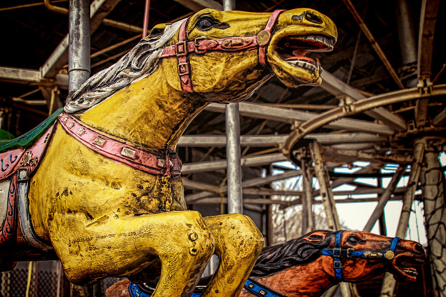Vintage Carousel Horses 007 Photograph by Tony Grider