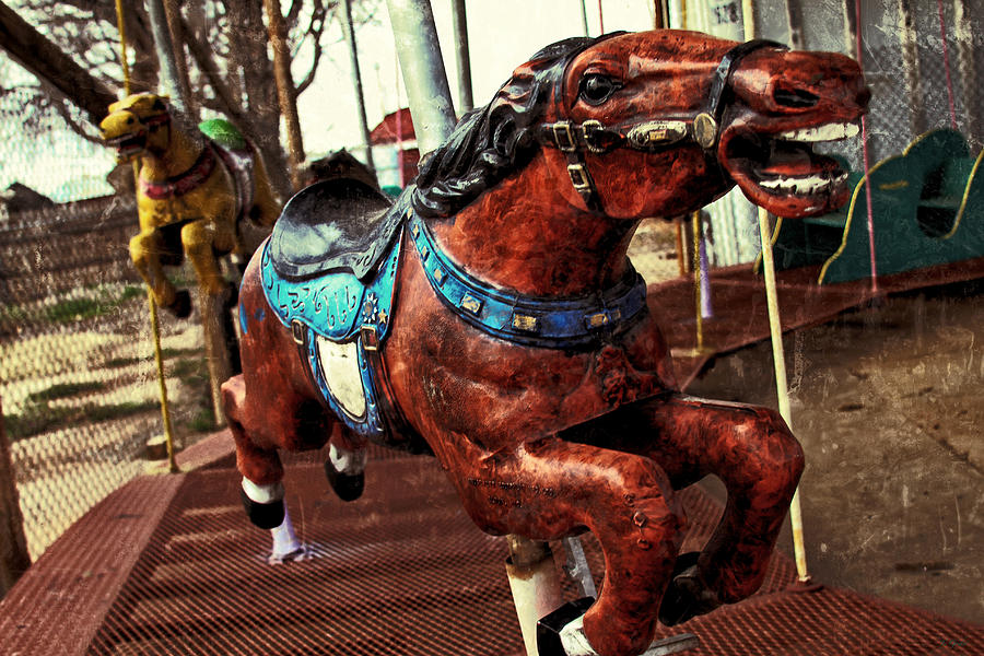 Horse Photograph - Vintage Carousel Horses 008 by Tony Grider
