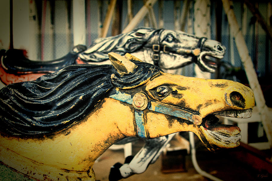 Yellow and White Vintage Carousel Horses 009 Photograph by Tony Grider