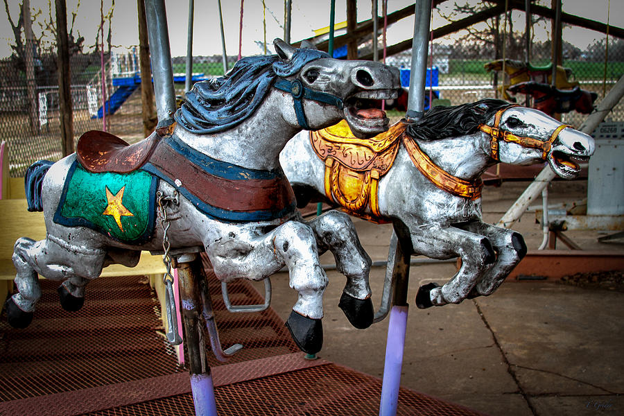 Horse Photograph - Vintage Carousel Horses 010 by Tony Grider