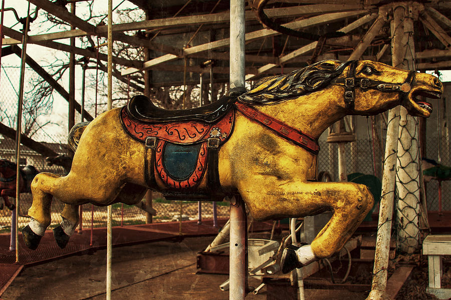 Vintage Carousel Horses 013 Photograph by Tony Grider