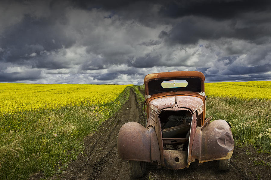 Vintage Chevy Pickup on a dirt path through a canola field Photograph by Randall Nyhof
