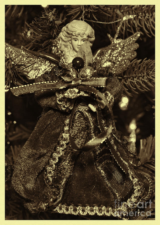 Vintage Christmas Angel Photograph by Olga Hamilton