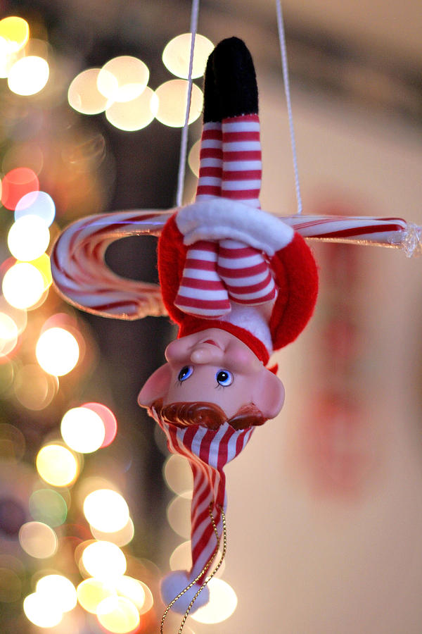 Vintage Christmas Elf Trapeze Photograph by Barbara West