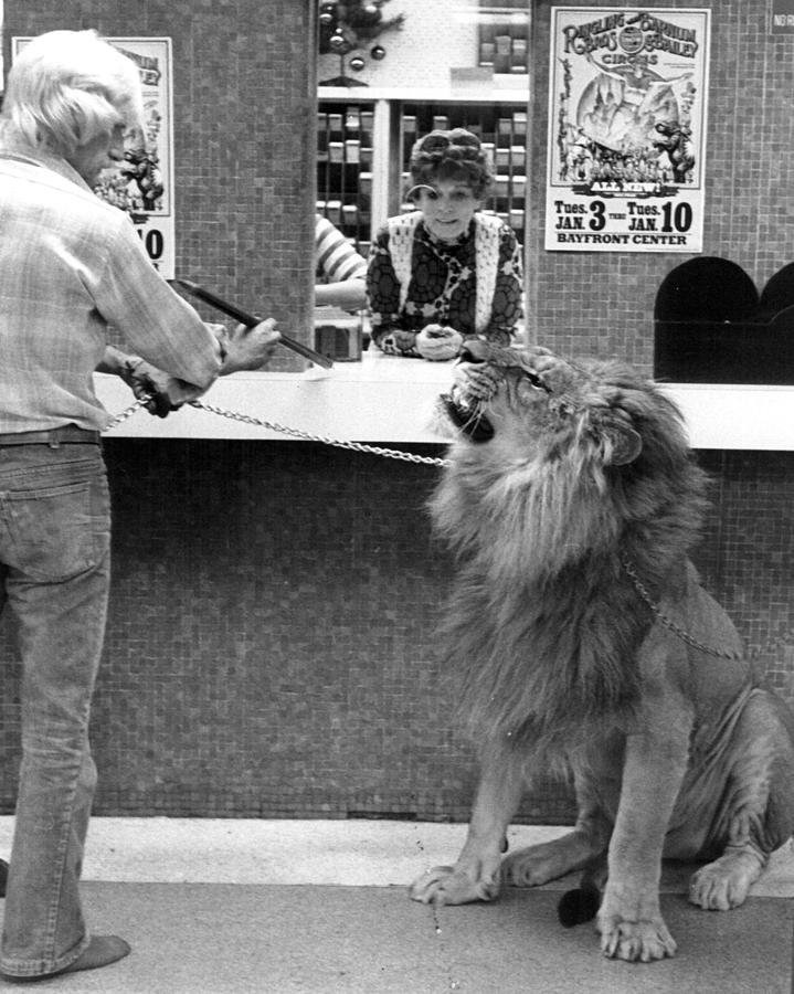 Vintage Circus Lion At The Bank Photograph by Retro Images Archive