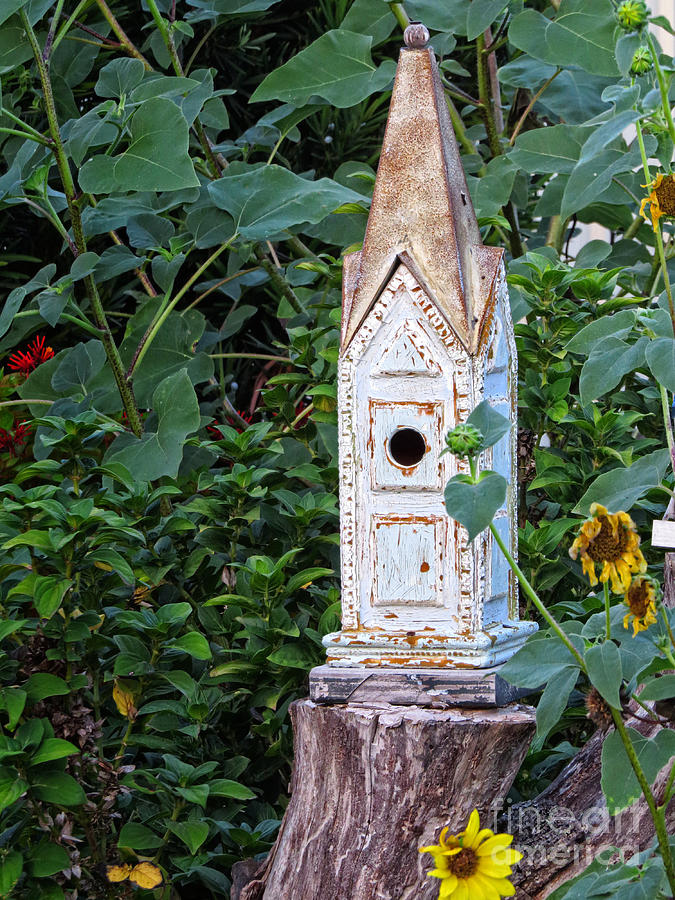 Vintage Classic Birdhouse Photograph By Ella Kaye Dickey Fine Art