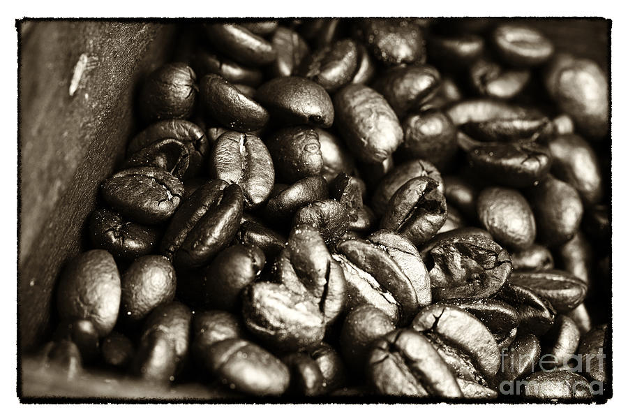 Vintage Coffee Beans Photograph by John Rizzuto