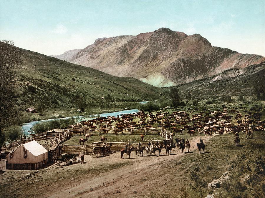 Vintage Colorado Photograph - Round Up on the Cimarron - 1898 Photograph by Eric Glaser