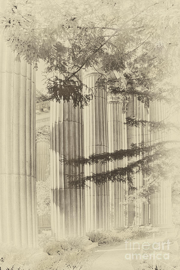 Vintage Columns Photograph by David Doucot
