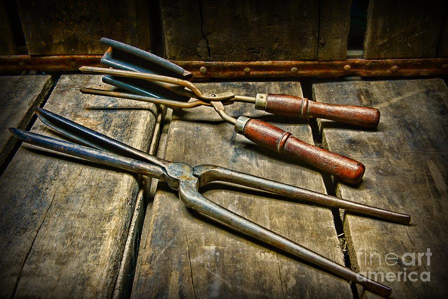 Vintage Curling Iron  Photograph by Paul Ward